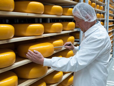 kilkenny cheese sustainability sampling cheese