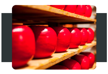 Edam cheese image